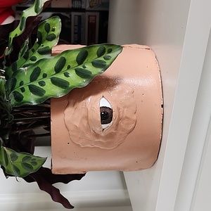 Eyeball Planter Pot